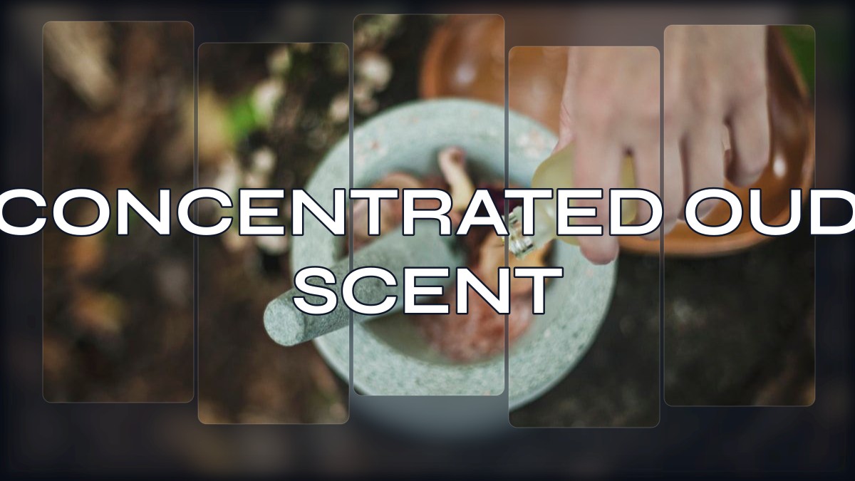 concentrated oud scent