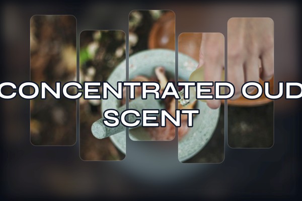 concentrated oud scent