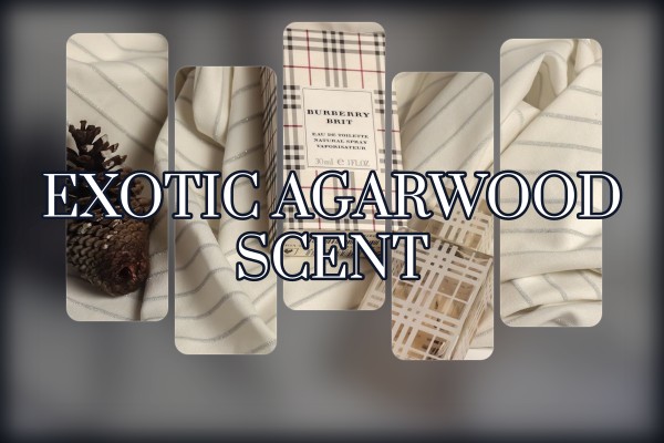 exotic agarwood scent