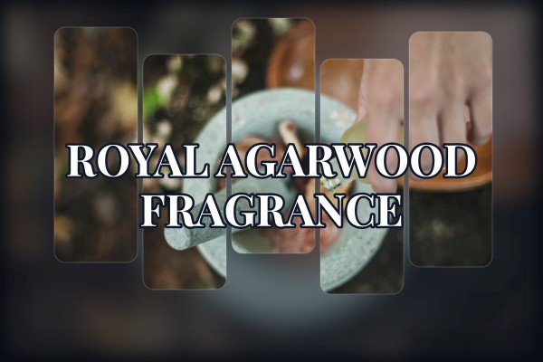 royal agarwood fragrance
