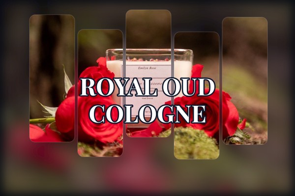royal oud cologne